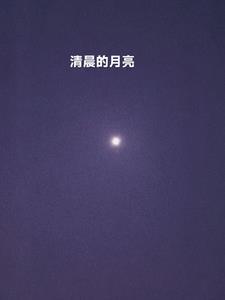 新书最新