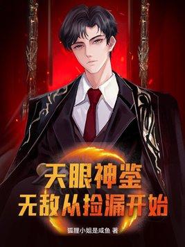 无敌天眼系统