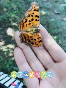 和菩萨有缘什么意思