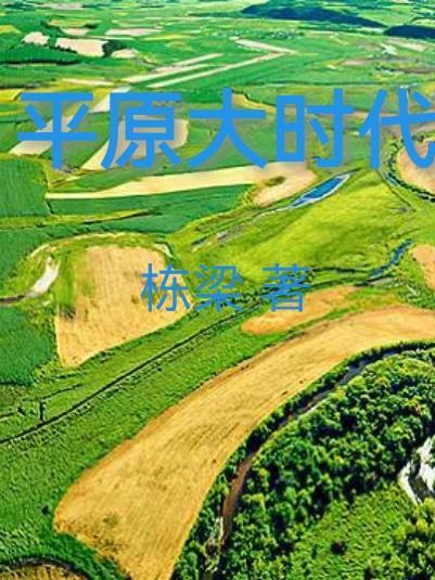 大平原118