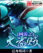 网游之大盗贼好看么