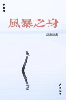 风暴之束在哪买