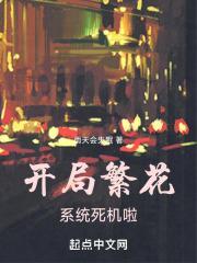 开局繁花系统卡了