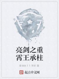 亮剑之王岩