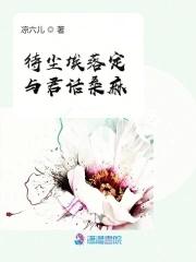 尘埃落定表达什么