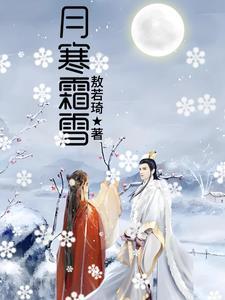 雪月寒2