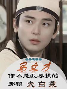 有没有关于马文才的