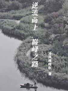 官之道之平