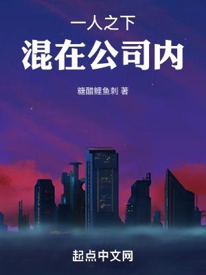 混在公司内无防盗