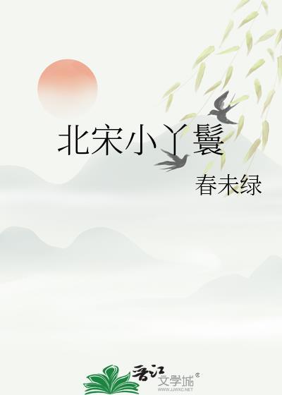 北宋小丫鬟讲的什么