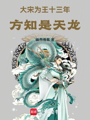 大宋为王十三年方知是天龙无错