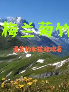 梅兰菊竹的品质是什么