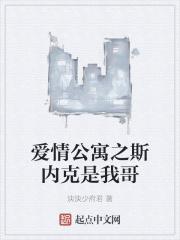 爱情公寓之神级选项