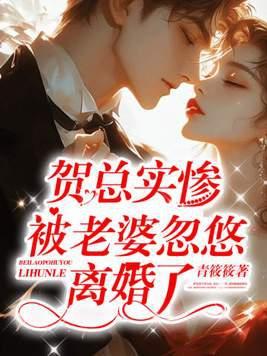 贺总是谁