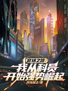 官场升职记