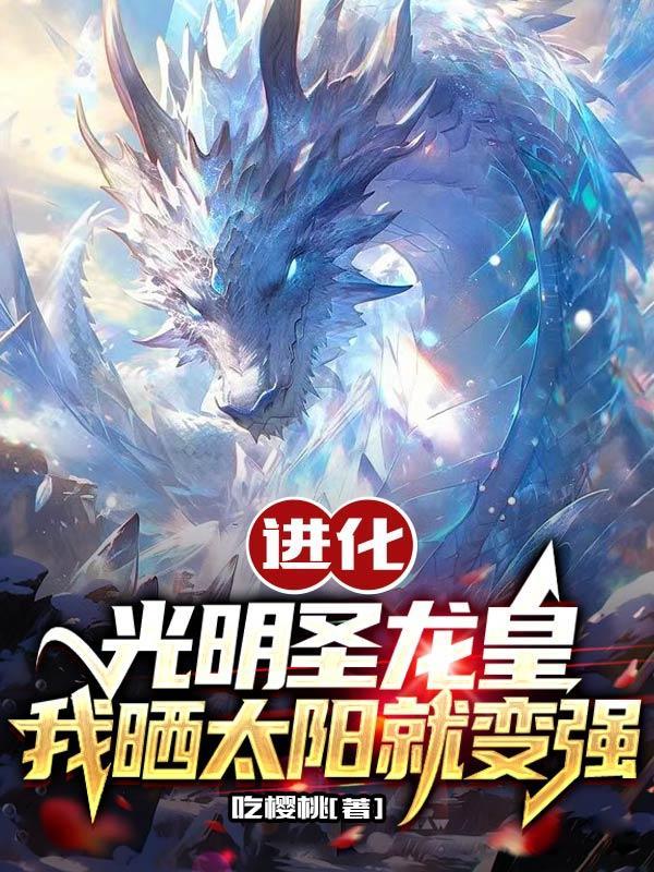 光明圣龙九个魂技