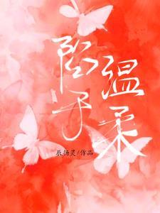 雷霆公司 雷东宝