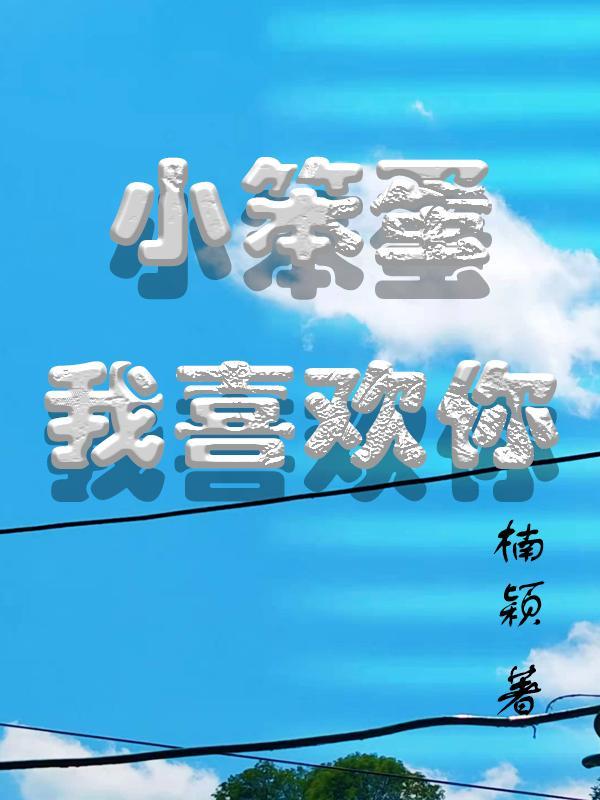 小笨蛋内容