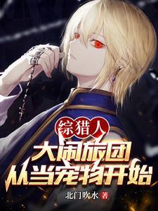 全职猎人之团宠