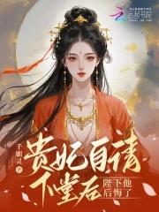 贵妃请自重的第三百六十九章