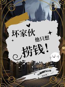 坏家伙意思
