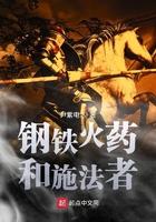 钢铁火药和施法者笔趣阁免费阅读最新章节