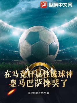 西甲用的足球是什么牌子的