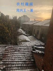 农村趣事阅读