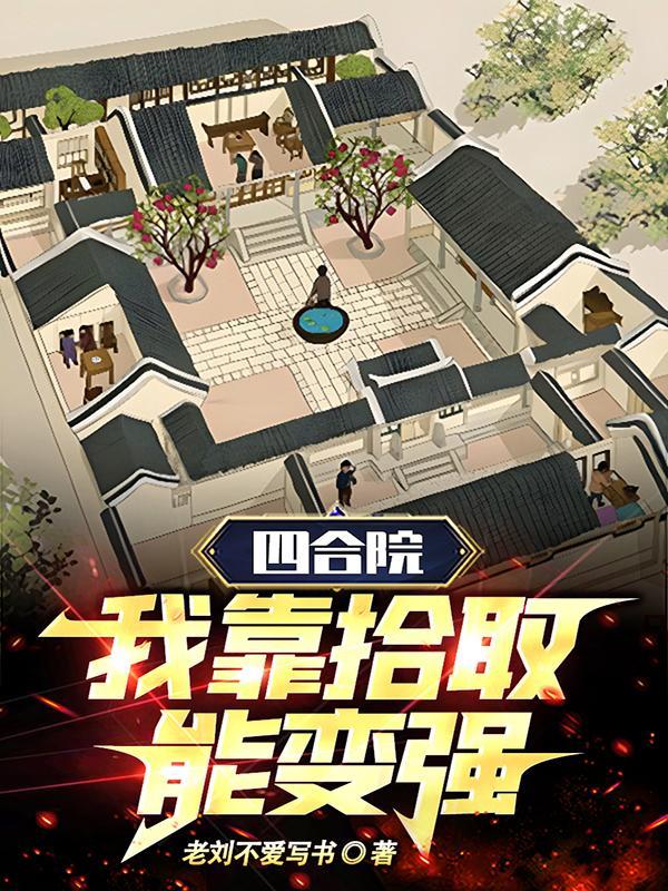四合院之我竟穿成棒梗