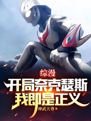 我即是正义TXT