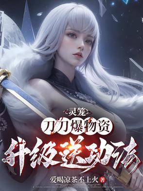灵笼装备介绍