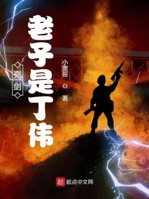 重生亮剑之老子是丁伟