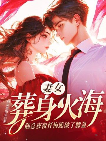 陆总的全集
