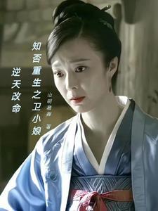 知否同人之卫小娘逆袭记