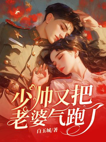 少帅的老婆又跑了漫画