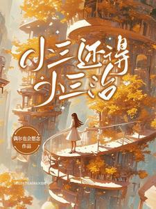 小三有错吗