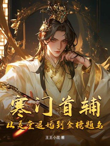寒门首辅顶点