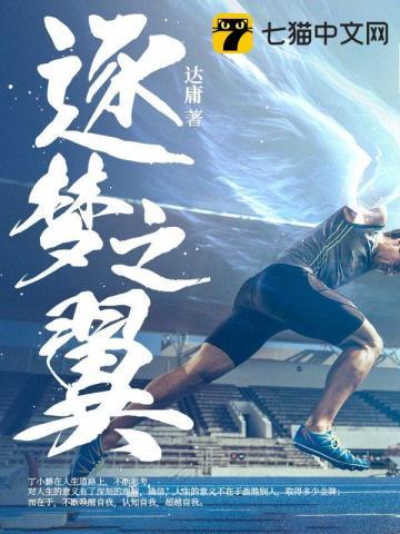 逐梦之翼是什么意思