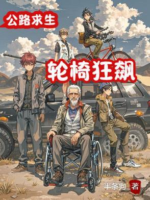 坐轮椅飙车的动画片