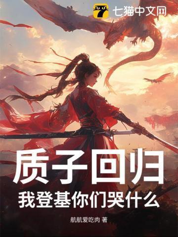 质子可以回国吗
