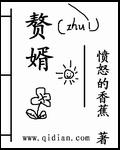 赘婿导演