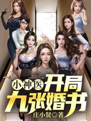 小神医开局九张婚书书包简介