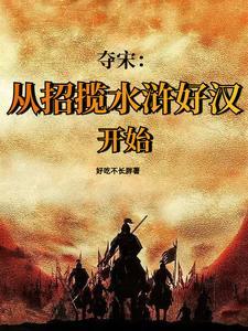 靖康之耻宋江在干什么