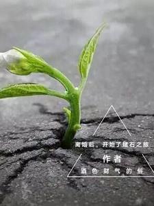 离婚后的我开始转运了顶点