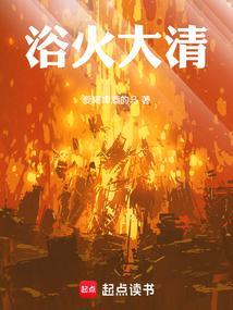 浴火大清 第2章