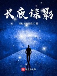 长夜谍影TXT八零电子书