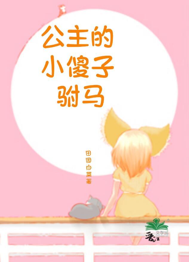 傻公主将军