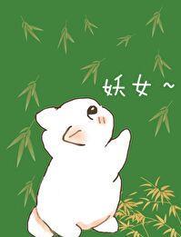 穿成合欢宗的女修