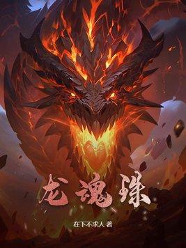 龙珠第一部