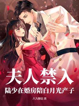 陆少夫人又闹离婚